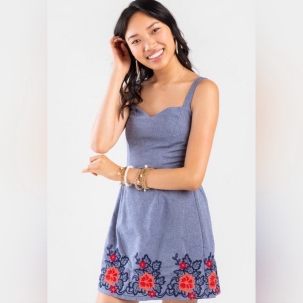 Francesca’s Collection Chambray Floral Embroidered Mini Dress